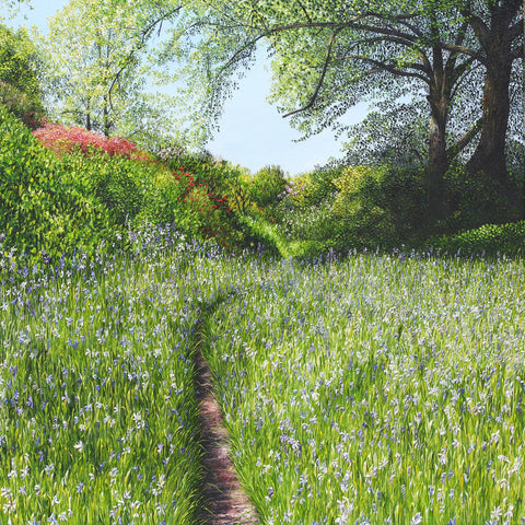 Oil painting of a path through wild flowers, bushes and trees by artist Clare Law