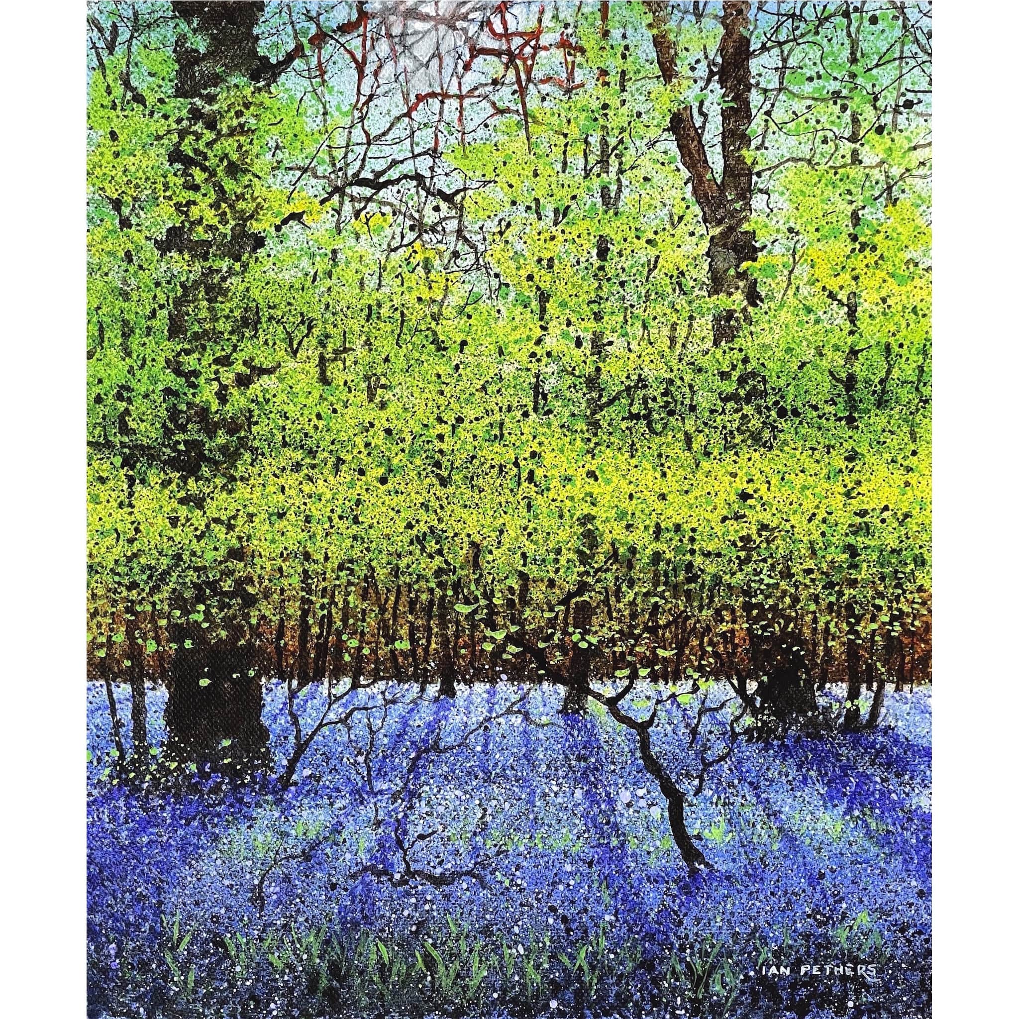 Painting of bluebells growing underneath trees by artist Ian Pethers