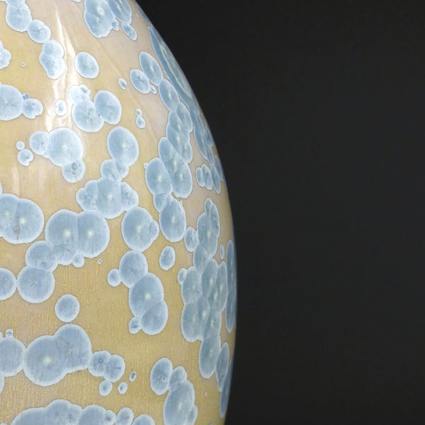 Medium Crystalline Vase I