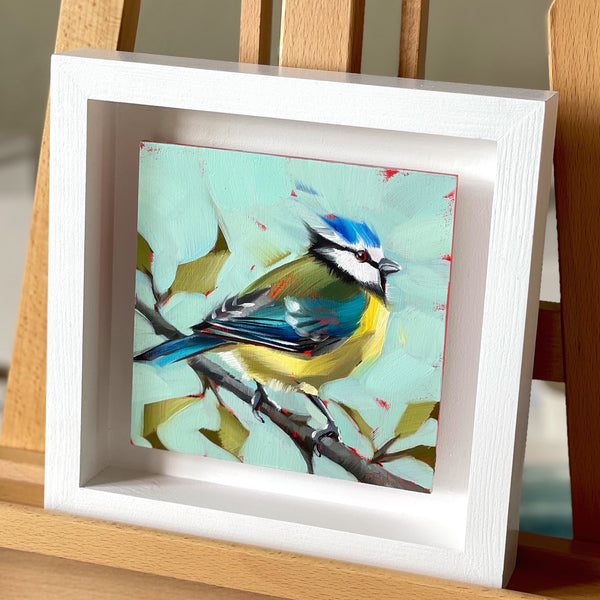 Spring Blue Tit