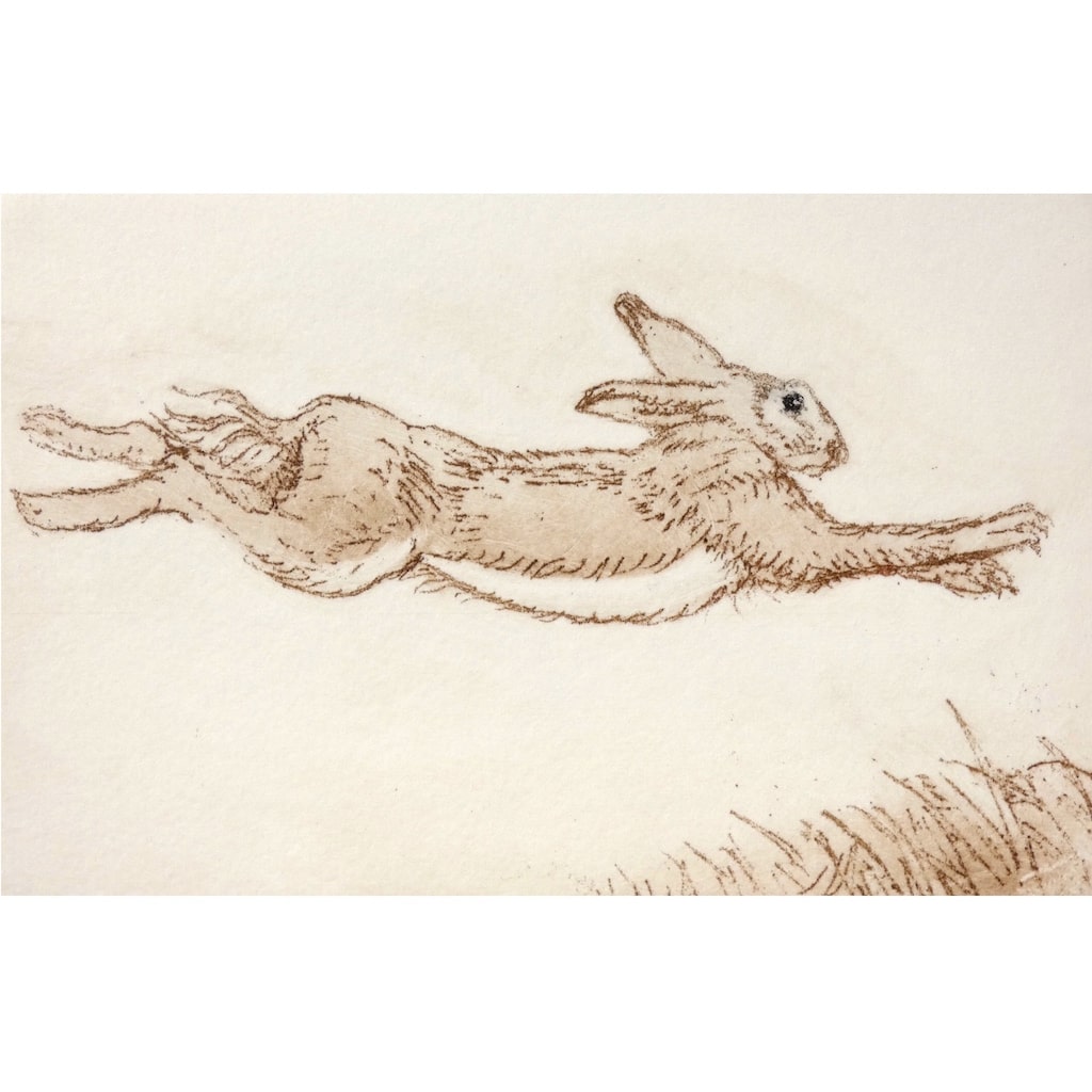 Limited edition etching of a streaking hare by artist Valerie Christmas