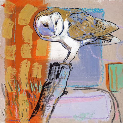 Open edition print of a barn owl by artist Daniel Cole