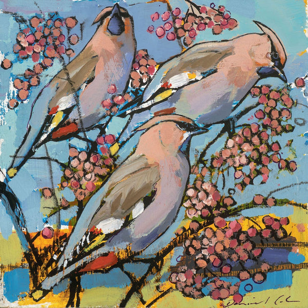 Open edition print of Waxwings by artist Daniel Cole