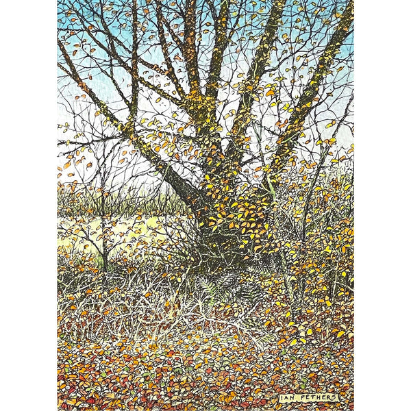 Painting of leaves falling from a tree in autumn by artist Ian Pethers