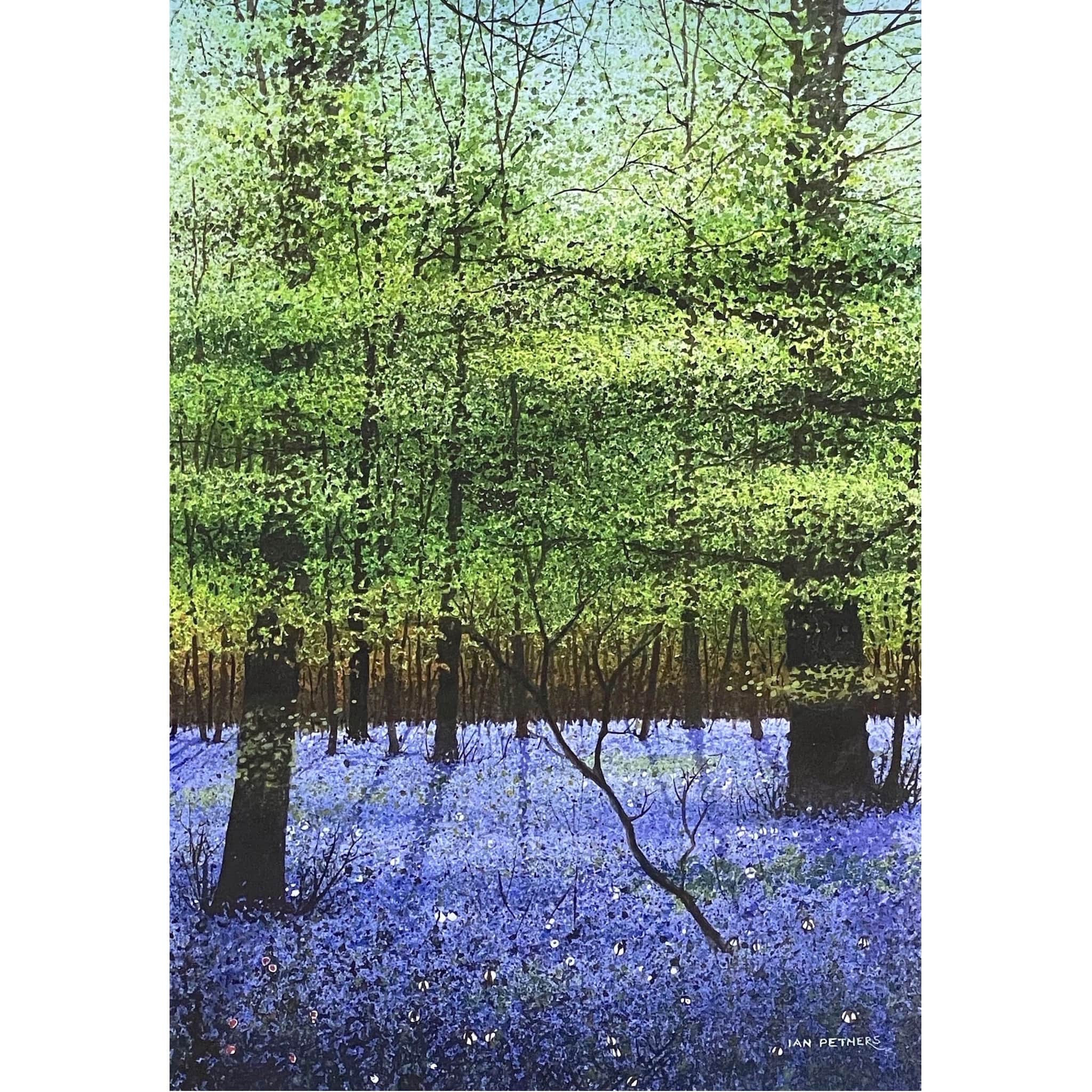 Painting of bluebells in woodland by artist Ian Pethers