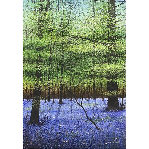 Painting of bluebells in woodland by artist Ian Pethers