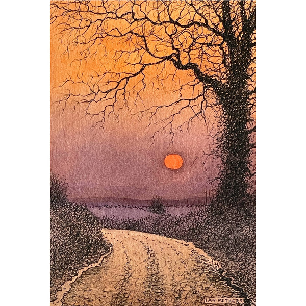 Painting of a Cornish lane at sunset by artist Ian Pethers