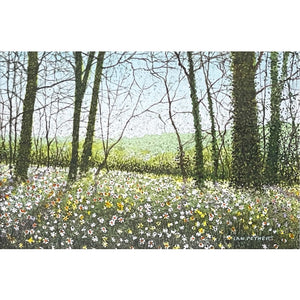 Miniature painting of flowers growing at the woodland's edge by artist Ian Pethers