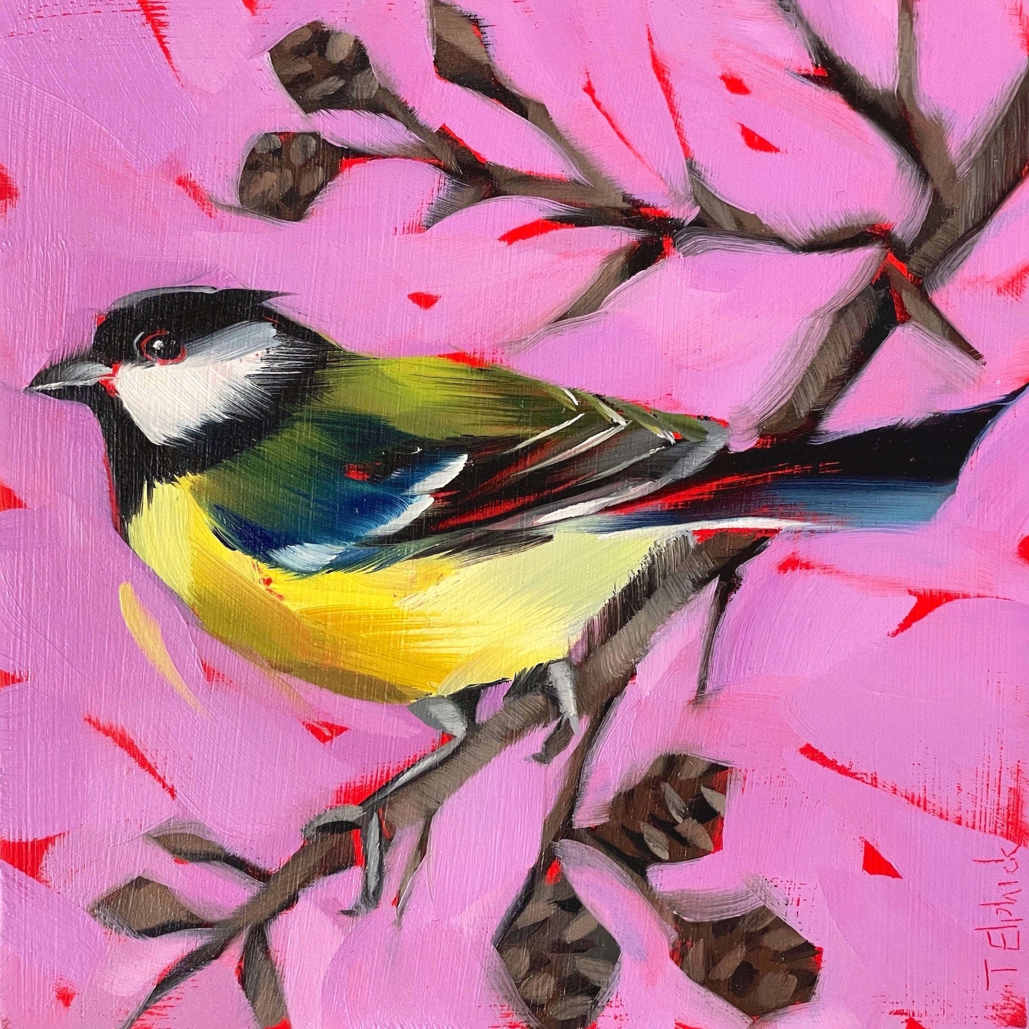 Painting of a Great Tit by artist Tracey Elphick