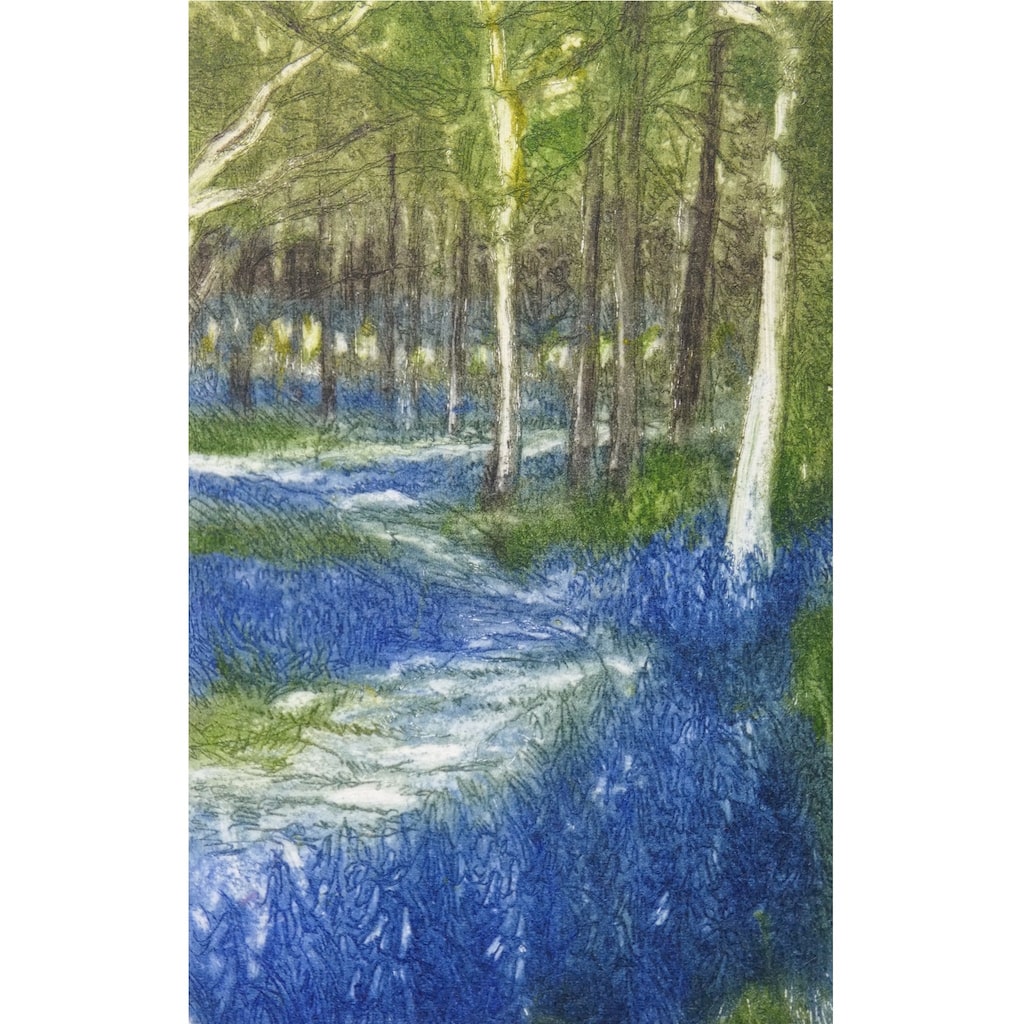 Limited edition etching of a path winding through a bluebell wood by artist Valerie Christmas