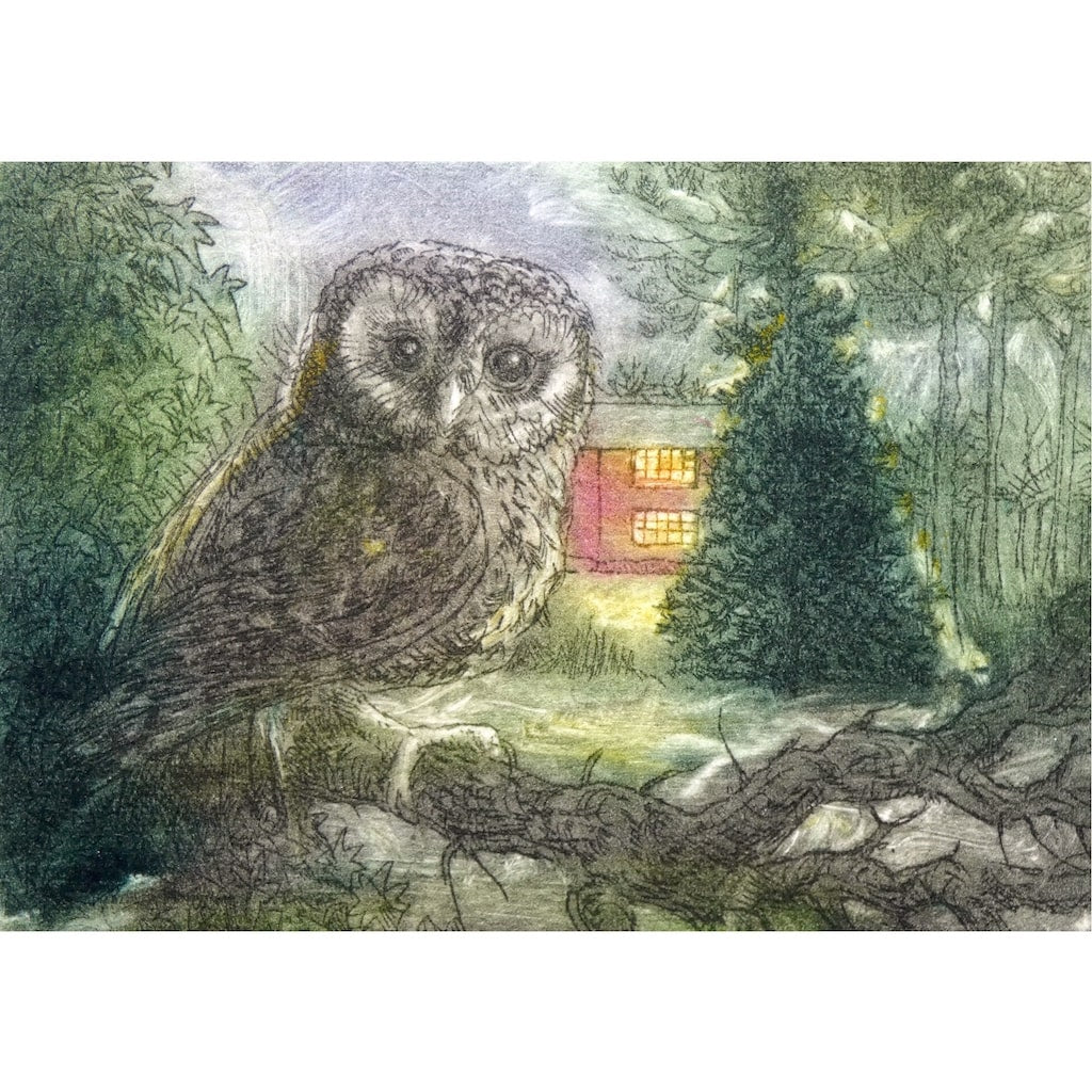 Limited edition etching of an owl perching on a branch by artist Valerie Christmas