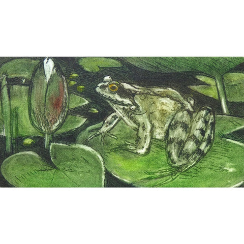 Limited edition etching of a garden frog sitting on a lily pad by artist Valerie Christmas