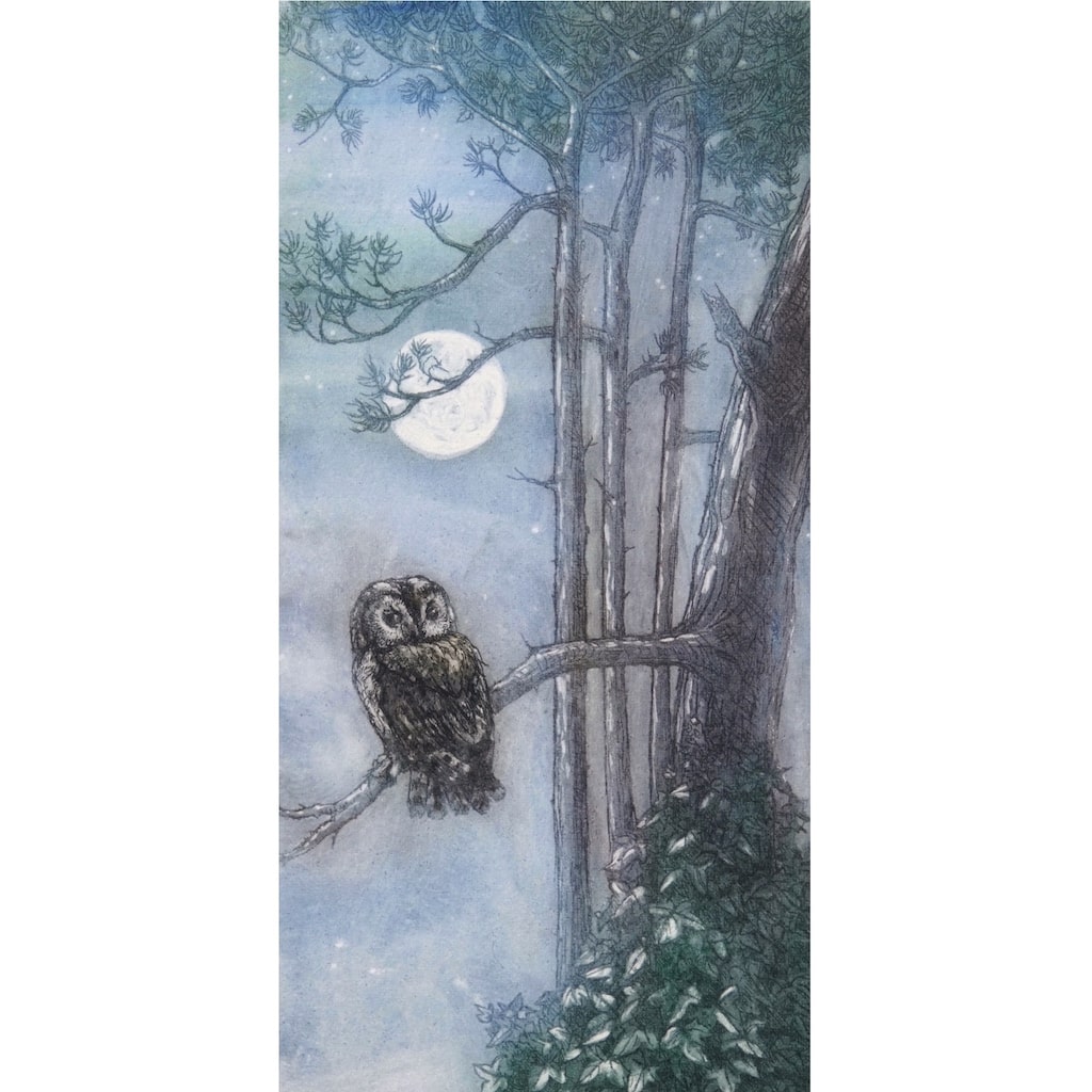 Limited edition etching of an owl sitting under the full moon by artist Valerie Christmas