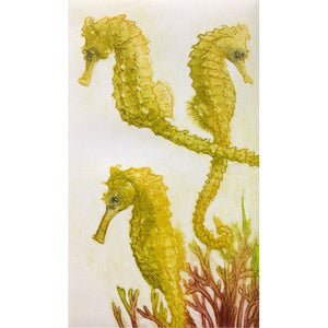 Limited edition etching of seahorses by artist Valerie Christmas