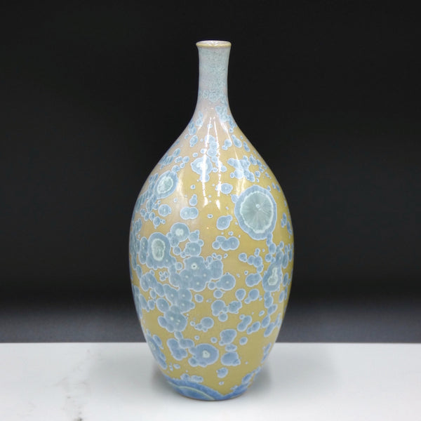Medium Crystalline Vase I
