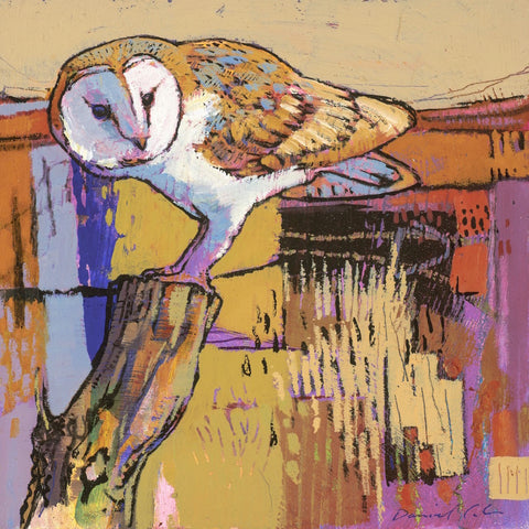Open edition print of a barn owl by artist Daniel Cole
