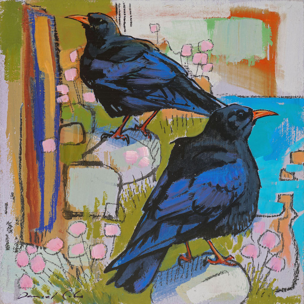 Open edition print of Choughs by artist Daniel Cole