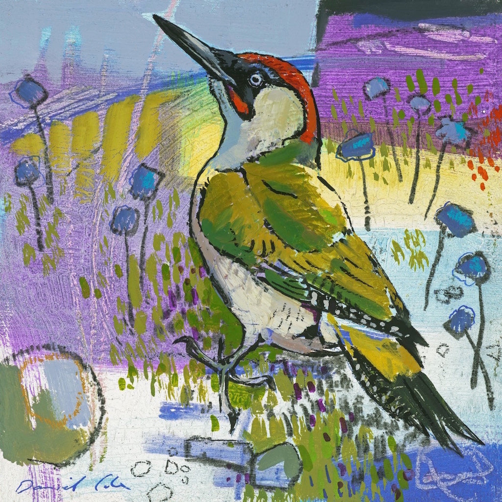 Open edition print of a green woodpecker by artist Daniel Cole