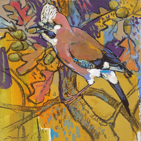 Open edition print of a jay by artist Daniel Cole