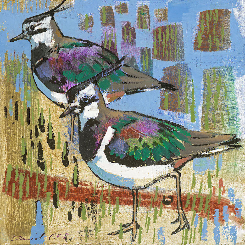 Open edition print of Lapwings by artist Daniel Cole