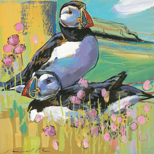Open edition print of Puffins by artist Daniel Cole