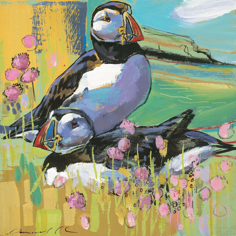 Open edition print of Puffins by artist Daniel Cole