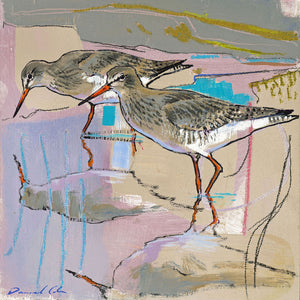 Open edition print of Redshanks by artist Daniel Cole