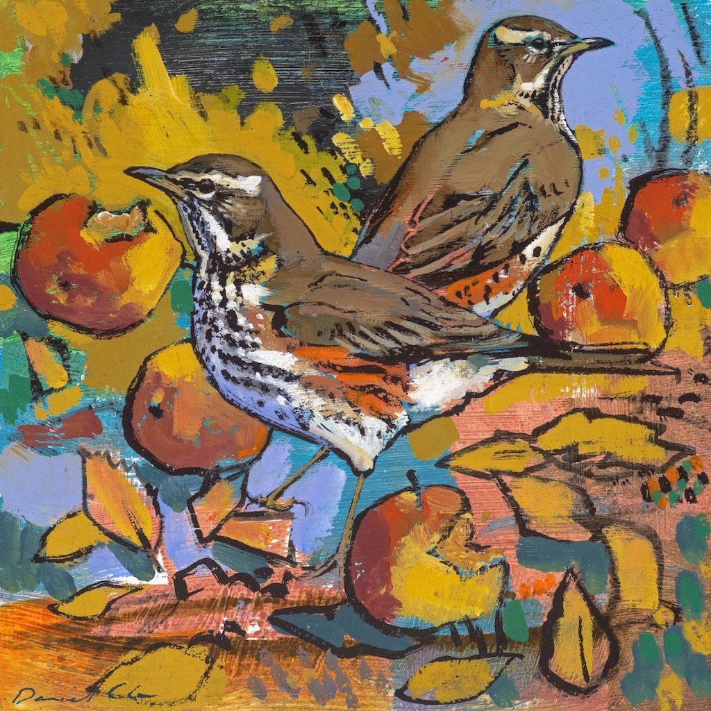 Open edition print of two redwings by artist Daniel Cole
