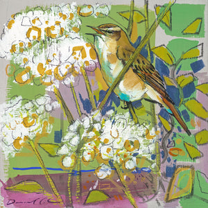 Open edition print of a Sedge Warbler by artist Daniel Cole