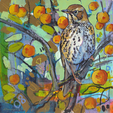 Open edition print of a Song Thrush by artist Daniel Cole