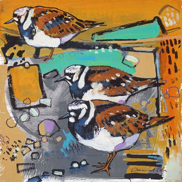Open edition print of Turnstones by artist Daniel Cole