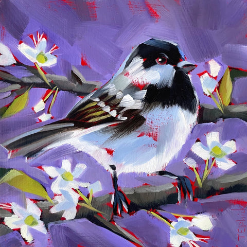 Painting of a coal tit and blossom by artist Tracey Elphick