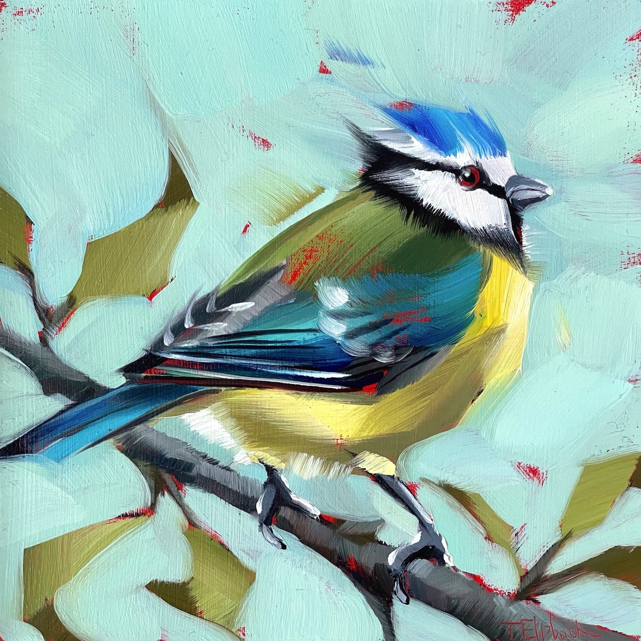 Painting of a blue tit by artist Tracey Elphick