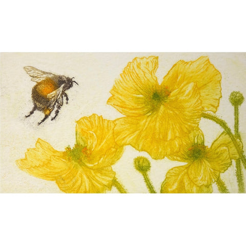 Limited edition etching of a bumblebee and flowers by artist Valerie Christmas