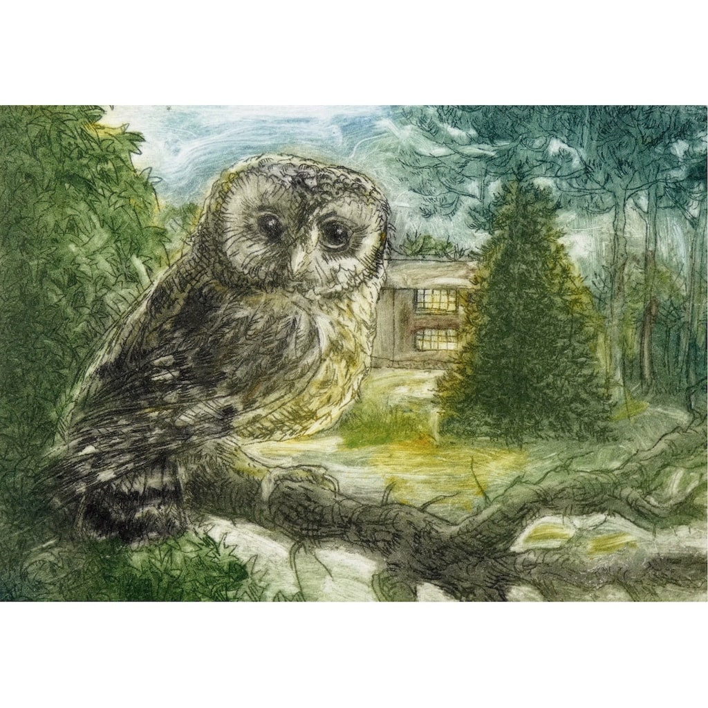 Limited edition etching of an owl perching on a branch by artist Valerie Christmas