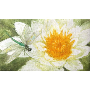 Limited edition etching of a dragonfly by artist Valerie Christmas