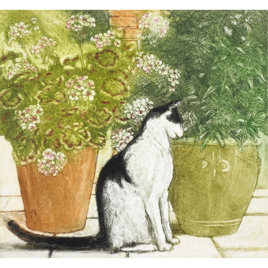 Limited edition etching of a cat and geraniums by artist Valerie Christmas