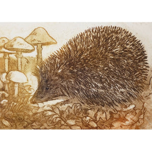 Limited edition etching of a hedgehog by artist Valerie Christmas
