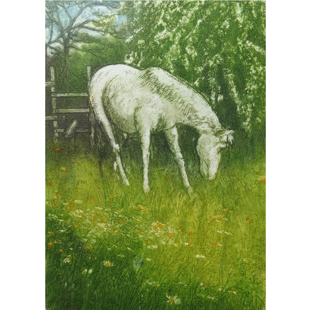 Limited edition etching of a horse grazing by artist Valerie Christmas