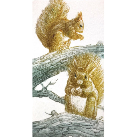 Limited edition etching of two red squirrels by artist Valerie Christmas
