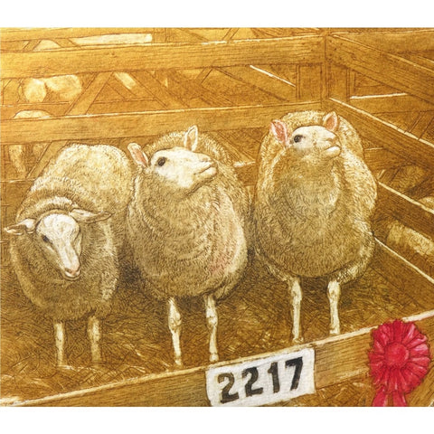 Limited edition etching of three sheep in a livestock judging competition by artist Valerie Christmas