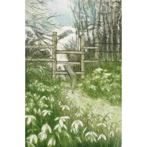 Limited edition etching of a path and stile with snowdrops all around by artist Valerie Christmas