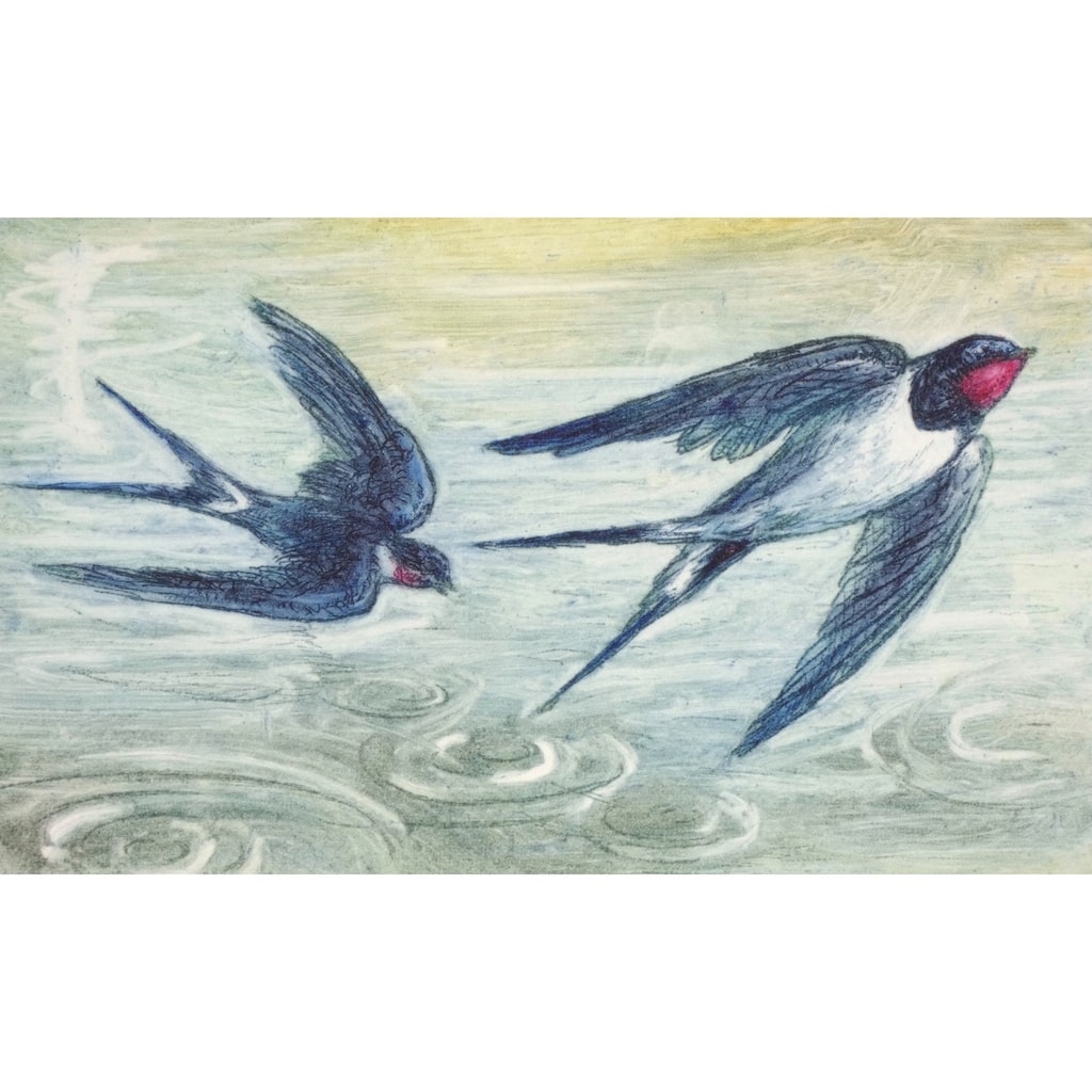 Limited edition etching of swallows over water by artist Valerie Christmas